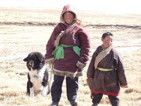 Tibetan_Mastiff_Tibet